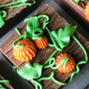 SOLD OUT Pumpkin Patch (Limited Edition)
